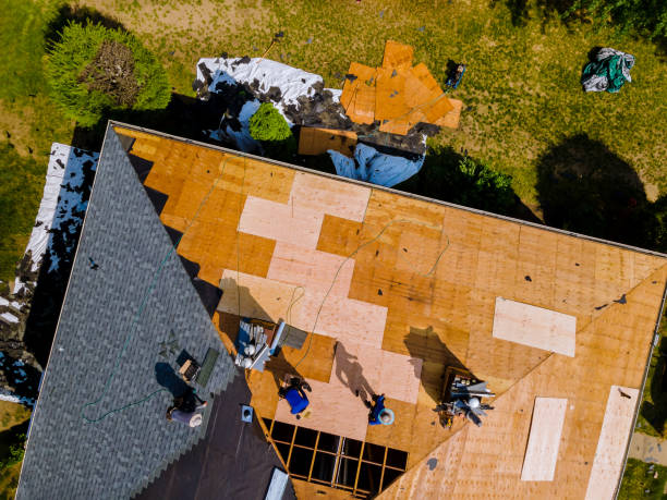 Best Residential Roofing Contractor  in Sidy, NE