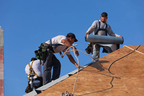 Best Roof Gutter Cleaning  in Sidy, NE