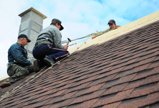 Quick and Trustworthy Emergency Roof Repair Services in Sidney, NE
